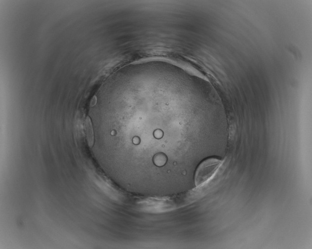 X0000111840179200907231415