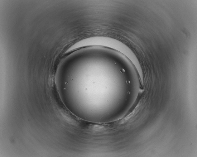 X0000111840180200907231415