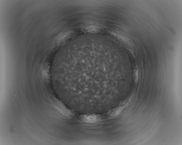 X0000111840181200907231415