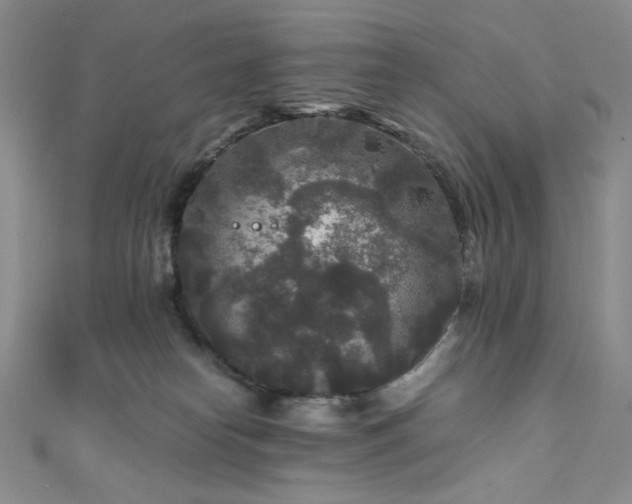 X0000111840182200907231415