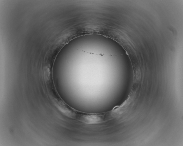 X0000111840183200907231415