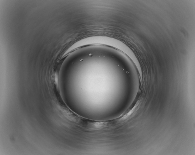 X0000111840184200907231415