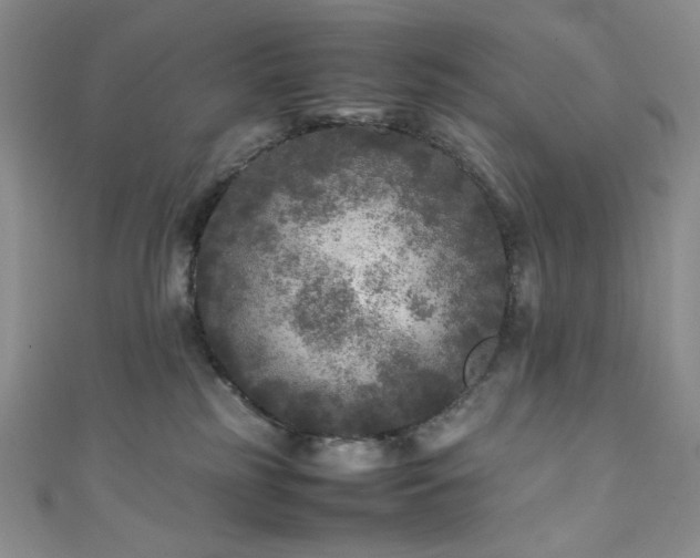 X0000111840185200907231415