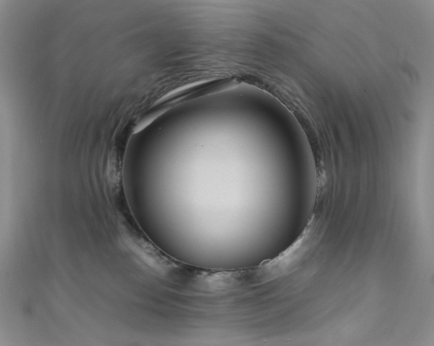 X0000111840186200907231415