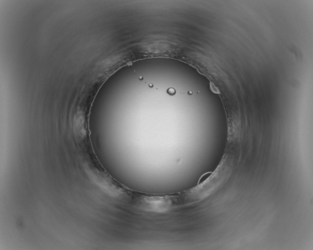 X0000111840187200907231415