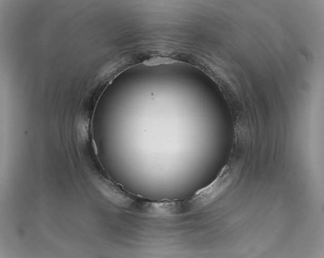 X0000111840188200907231415