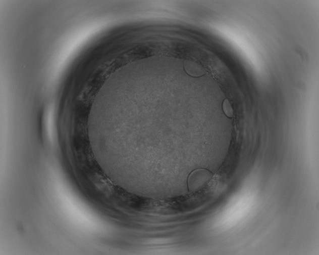 X0000111840189200907231415