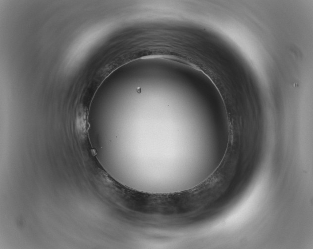 X0000111840190200907231415