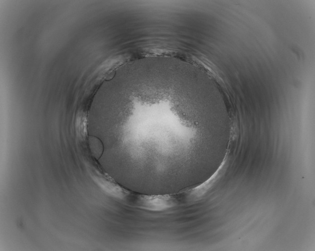 X0000111840191200907231415