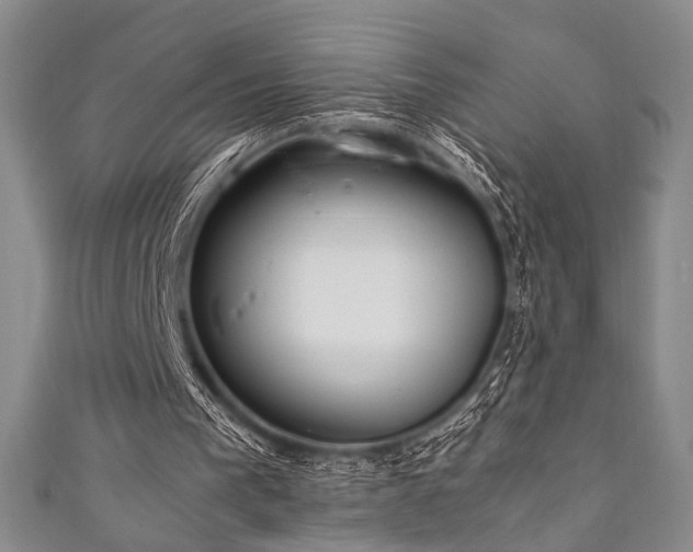 X0000111840193200907231415