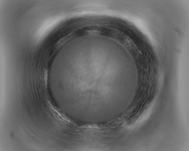 X0000111840194200907231415