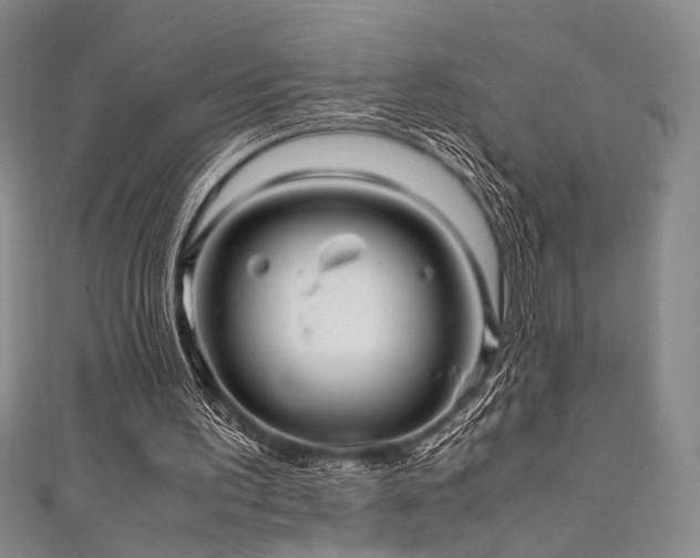 X0000111840195200907231415