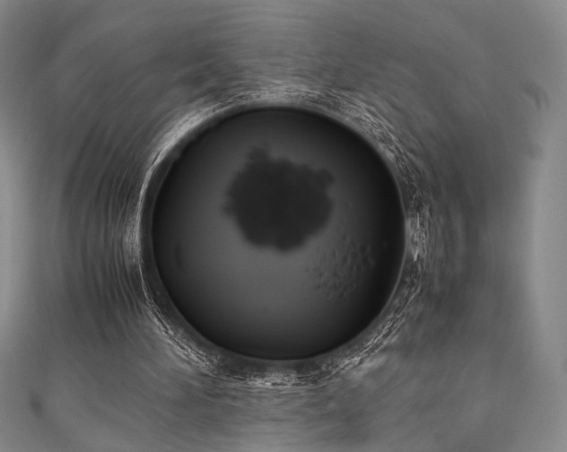 X0000111840196200907231415