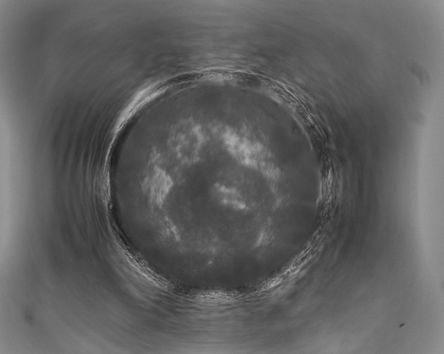 X0000111840198200907231415