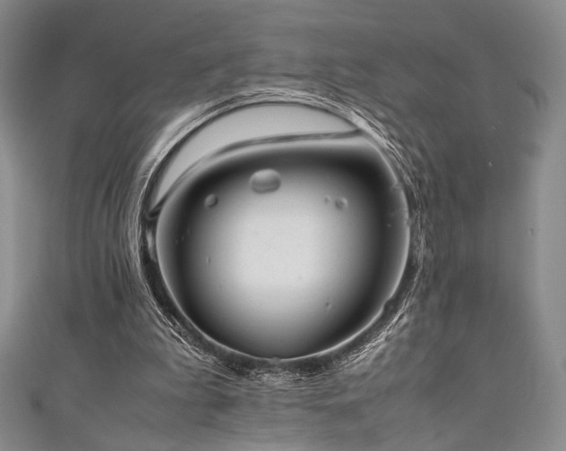 X0000111840199200907231415