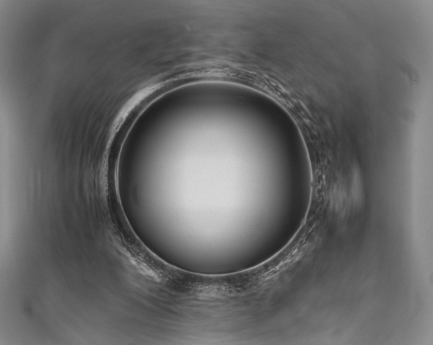 X0000111840200200907231415