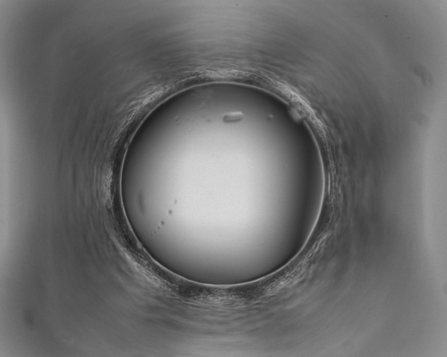 X0000111840201200907231415