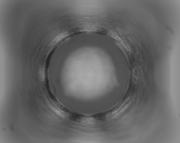 X0000111840203200907231415