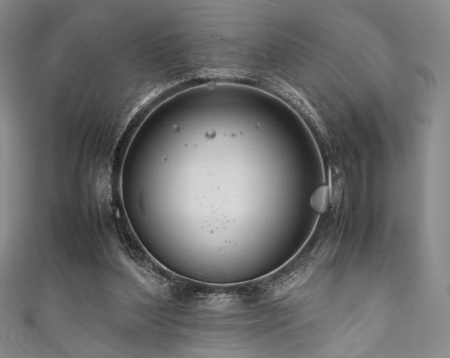 X0000111840204200907231415