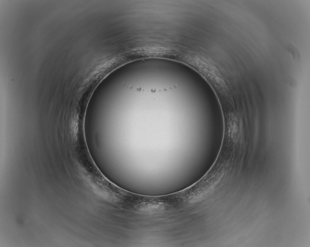 X0000111840206200907231415