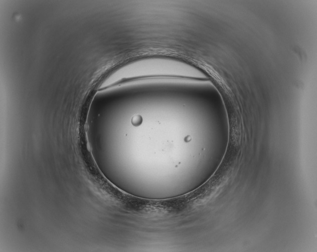 X0000111840207200907231415