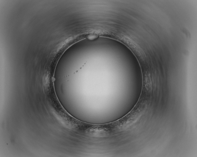 X0000111840208200907231415