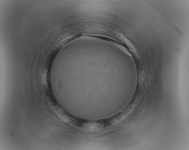 X0000111840209200907231415