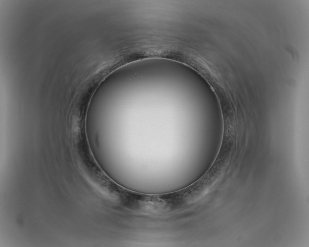 X0000111840215200907231415