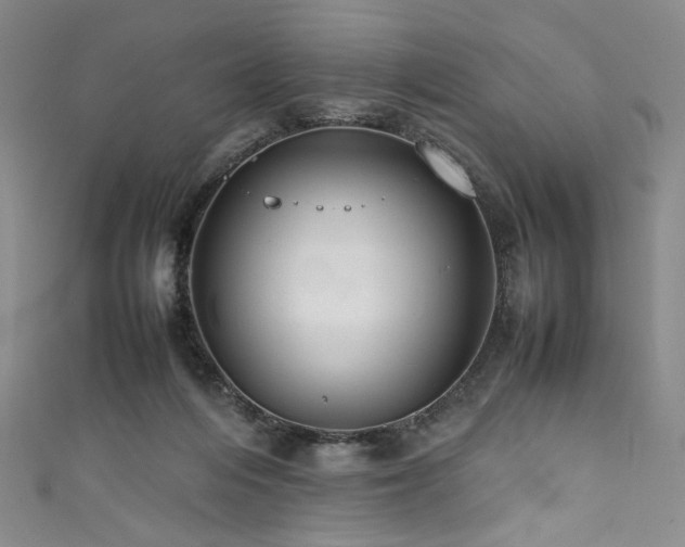 X0000111840216200907231415