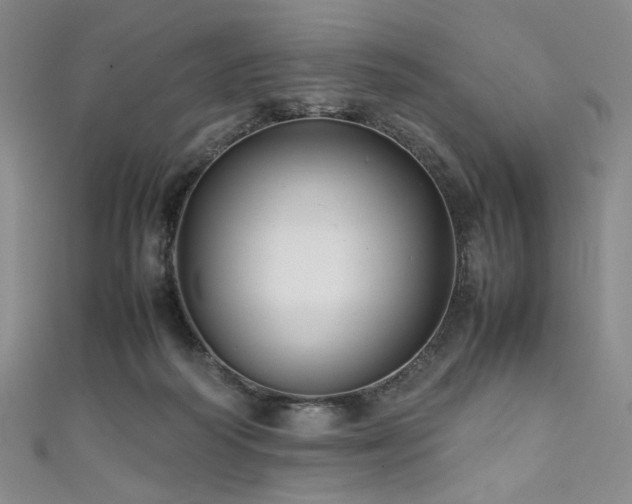 X0000111840218200907231415