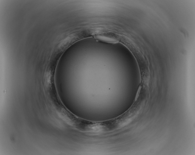 X0000111840219200907231415