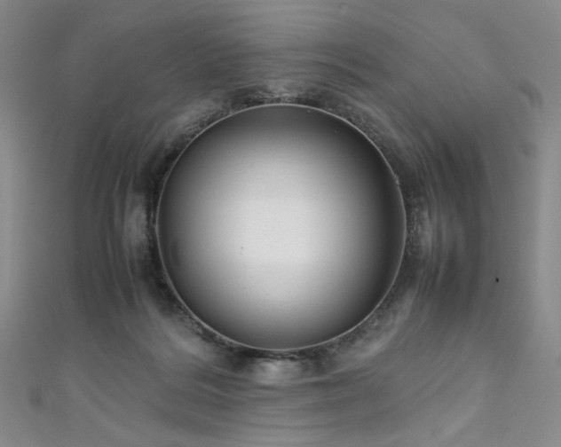 X0000111840220200907231415