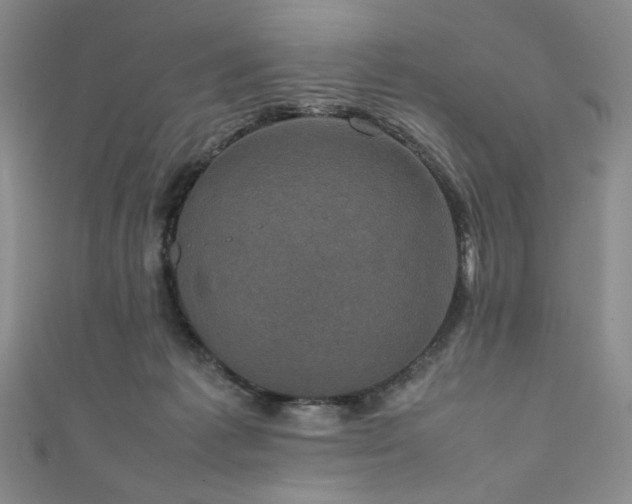 X0000111840221200907231415