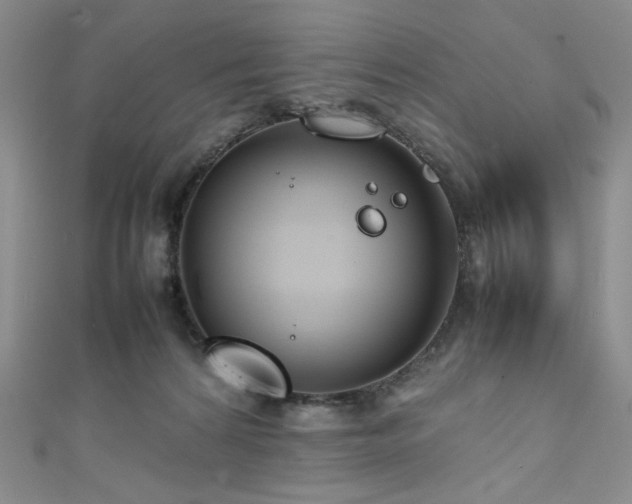 X0000111840224200907231414