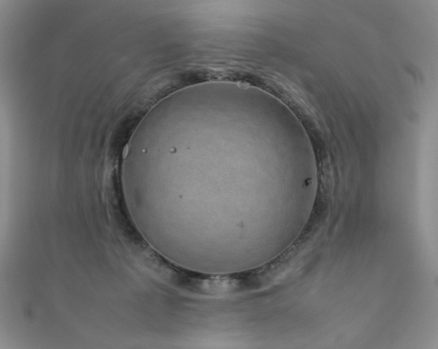 X0000111840225200907231414