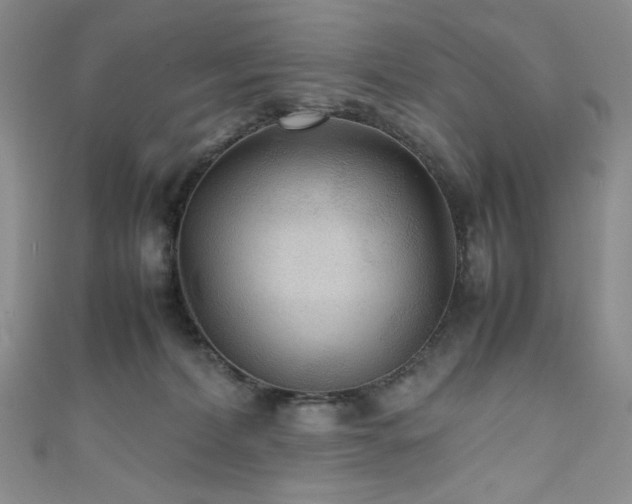 X0000111840228200907231414