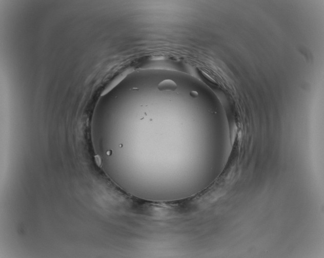 X0000111840229200907231414