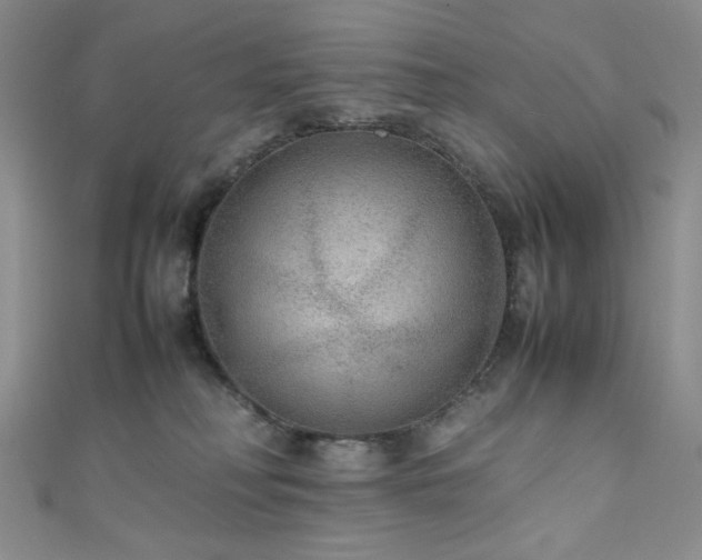 X0000111840230200907231414