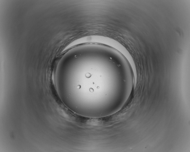 X0000111840231200907231414