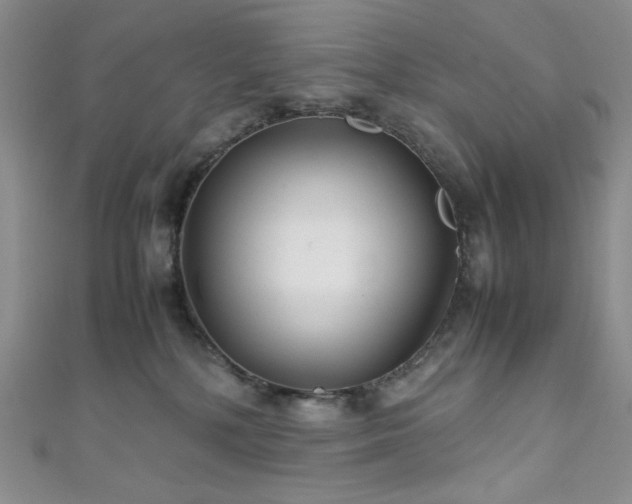 X0000111840232200907231414