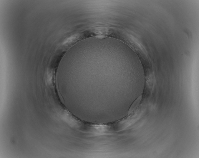 X0000111840233200907231414