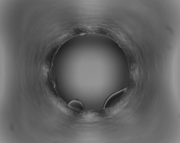 X0000111840235200907231414