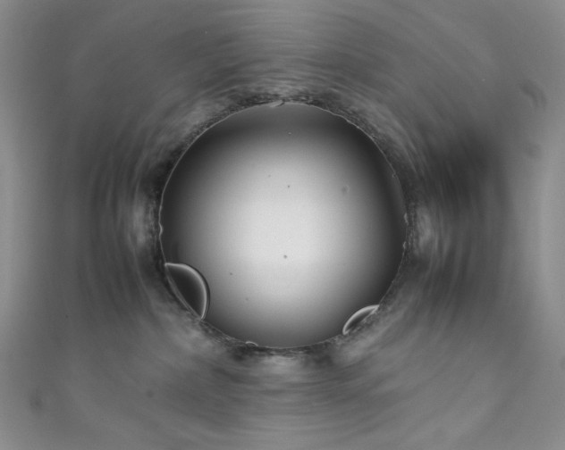 X0000111840236200907231414