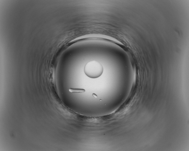 X0000111840237200907231414