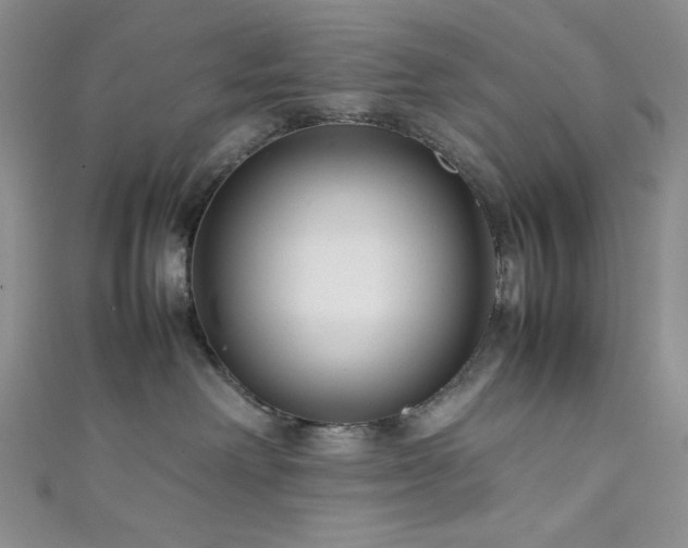 X0000111840238200907231414