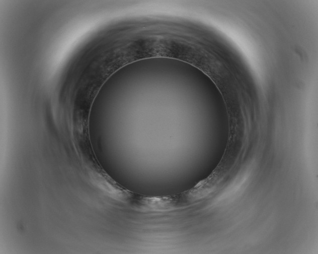 X0000111840239200907231414