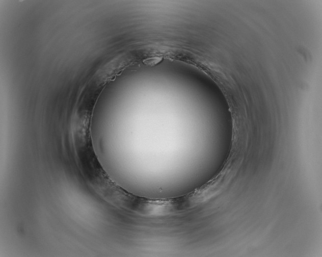 X0000111840240200907231414