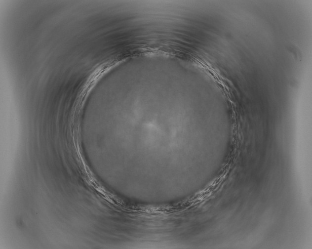 X0000111840241200907231414