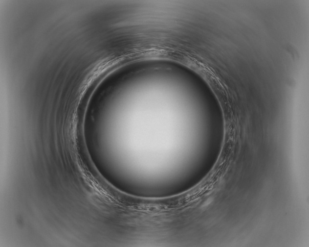 X0000111840242200907231414