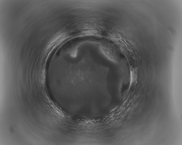 X0000111840243200907231414